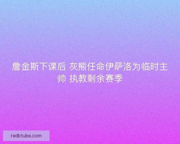 詹金斯下课后 灰熊任命伊萨洛为临时主帅 执教剩余赛季