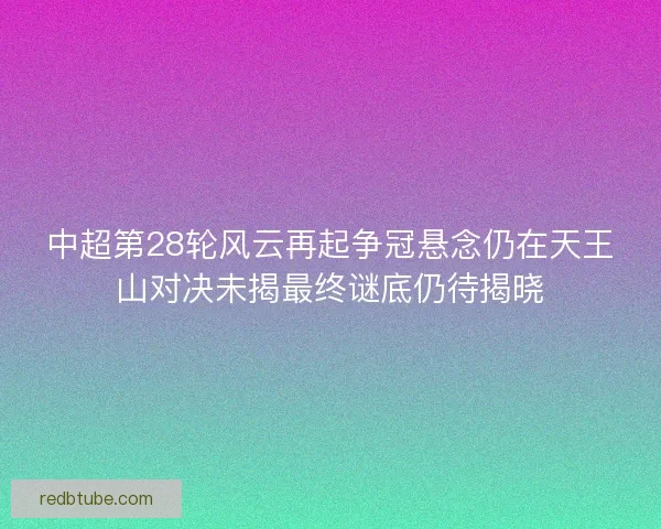 中超第28轮风云再起争冠悬念仍在天王山对决未揭最终谜底仍待揭晓