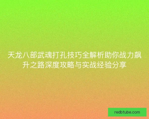 天龙八部武魂打孔技巧全解析助你战力飙升之路深度攻略与实战经验分享