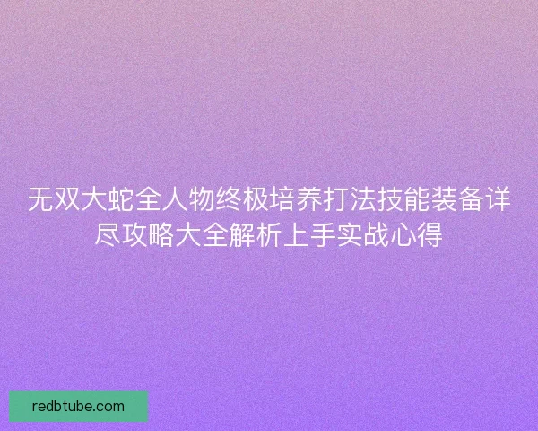无双大蛇全人物终极培养打法技能装备详尽攻略大全解析上手实战心得